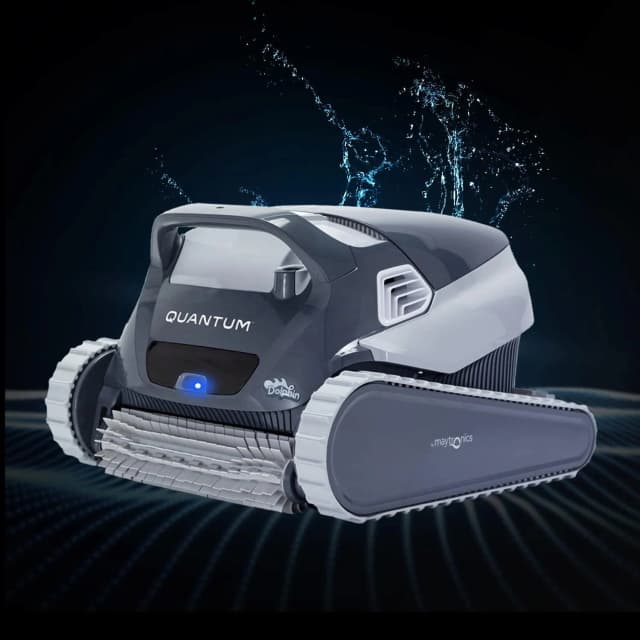 Dolphin Quantum