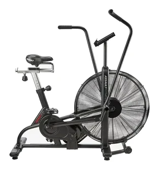 AssaultBike Classic